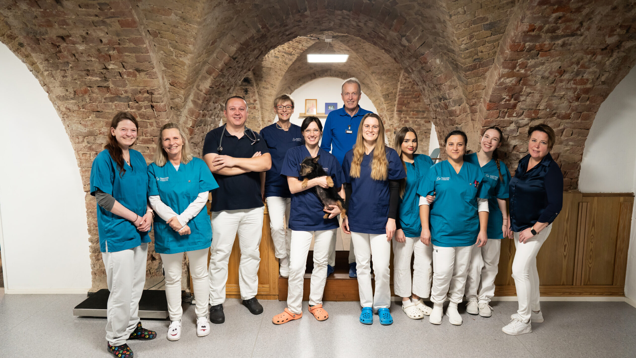 Gruppenbild des Praxisteams der Tierarztpraxis Dr. Tyrell & Dr. Haege