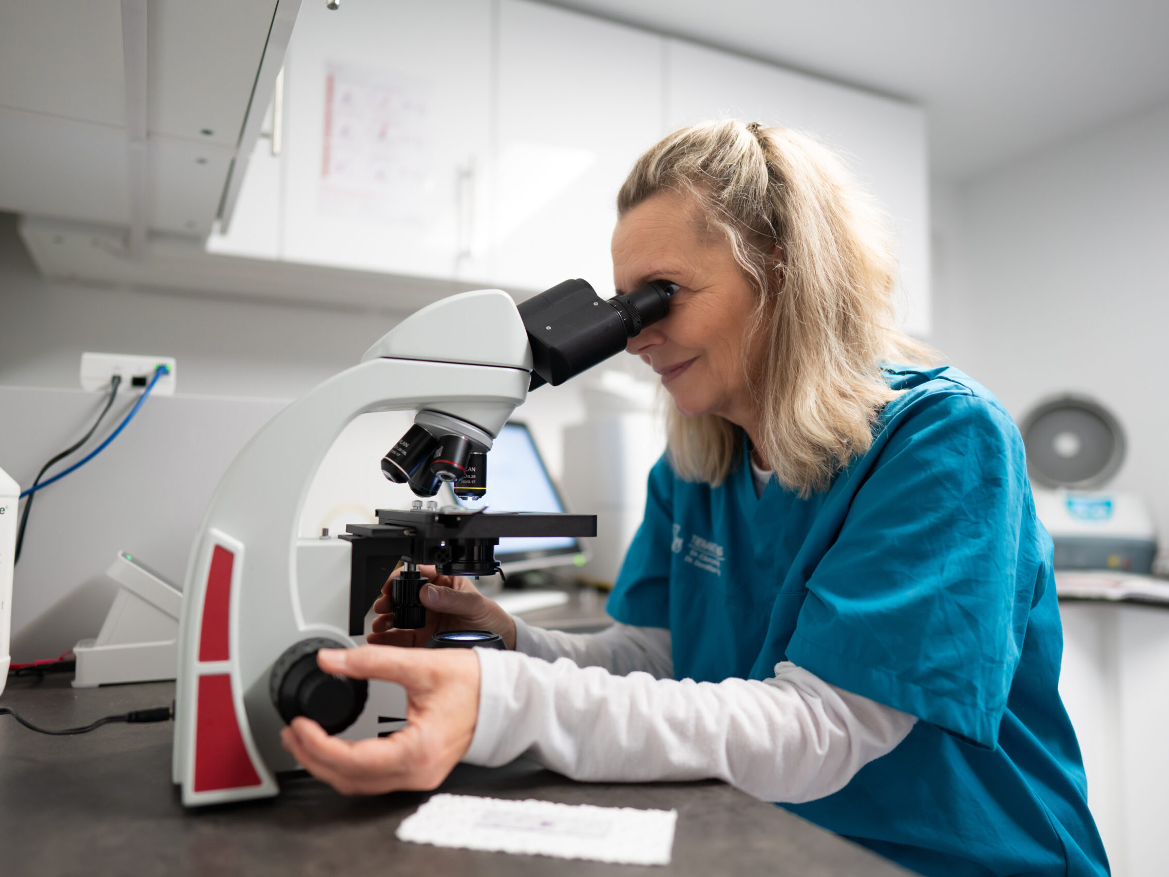 Tiermedizinische Fachangestellte Anita Becker untersucht eine Probe unter dem Mikroskop